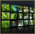 Mario Marinov - My Portfolio